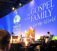 In tientallen lezingen en debatten wordt nagedacht over Amoris Laetitia en de toekomst van het christelijke gezin © WMF 2018 Dublin