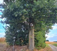 Op kapellekestour 