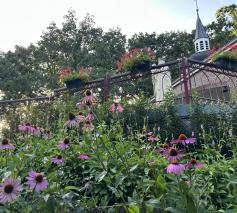 zomer in het Rosariumpark © bedevaarten