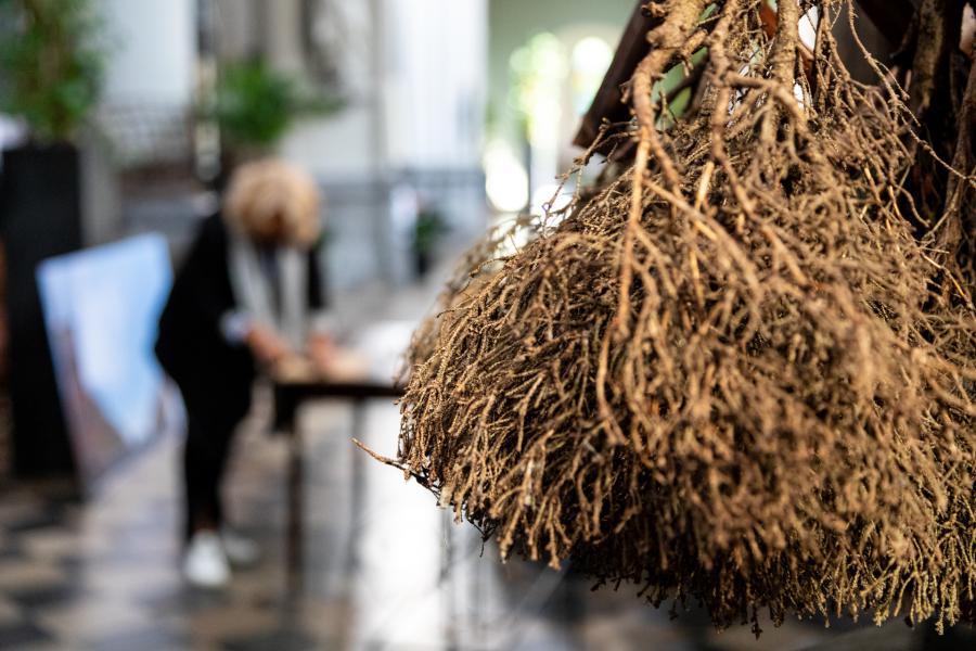 Ikebana Jette 2023 6 © Ben Huybrechts