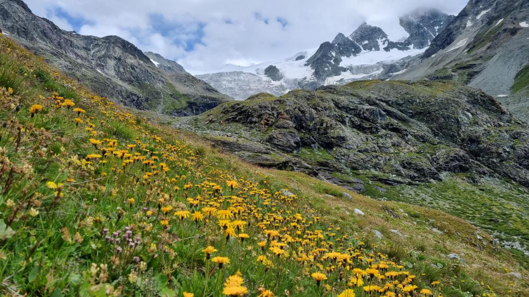Gods majestueuze natuur © Lieven van Peteghem