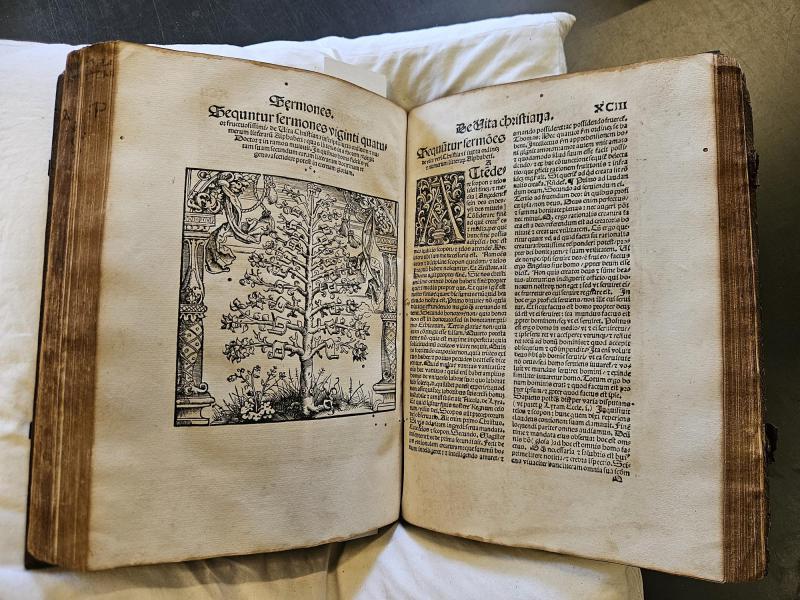 Alfabetboom met letters voor 24 preken © Bibliotheek Grootseminarie