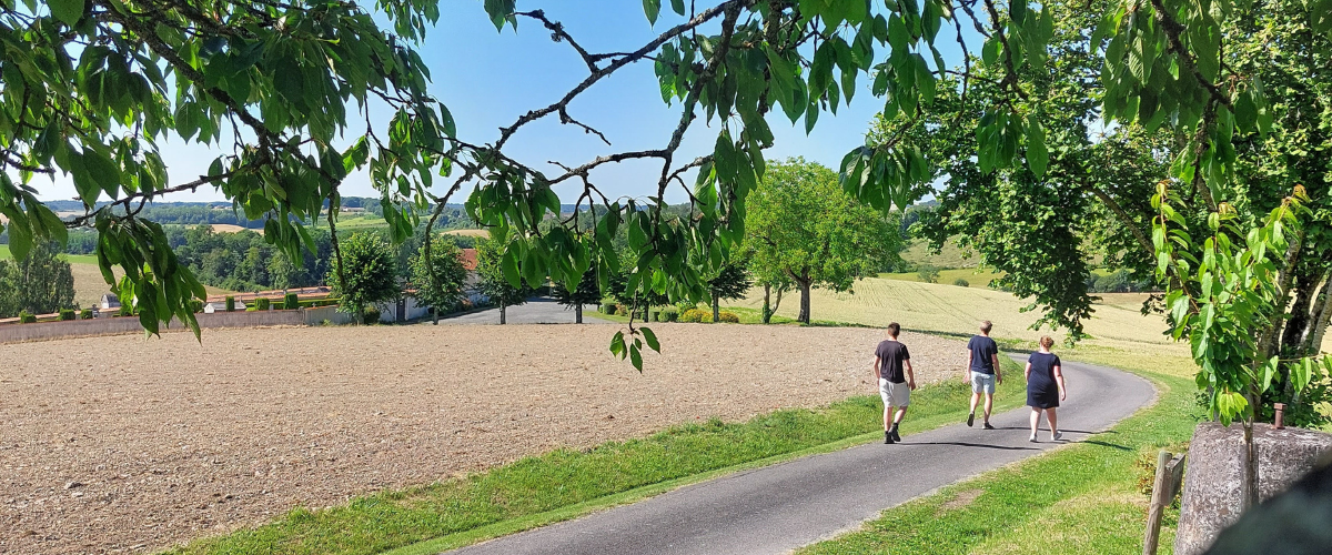 Een zalige omgeving om prachtige wandelingen te maken! 