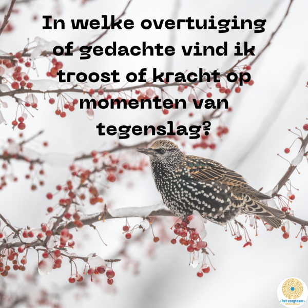 Vraag november © Het zorgteam