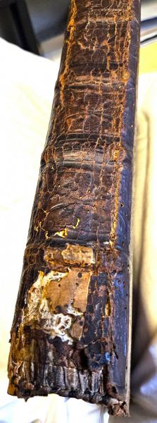 Rug van de boekband © Bibliotheek Grootseminarie