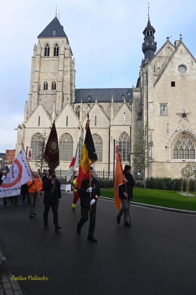 Terugblik 11 november © Gaston Pulinckx