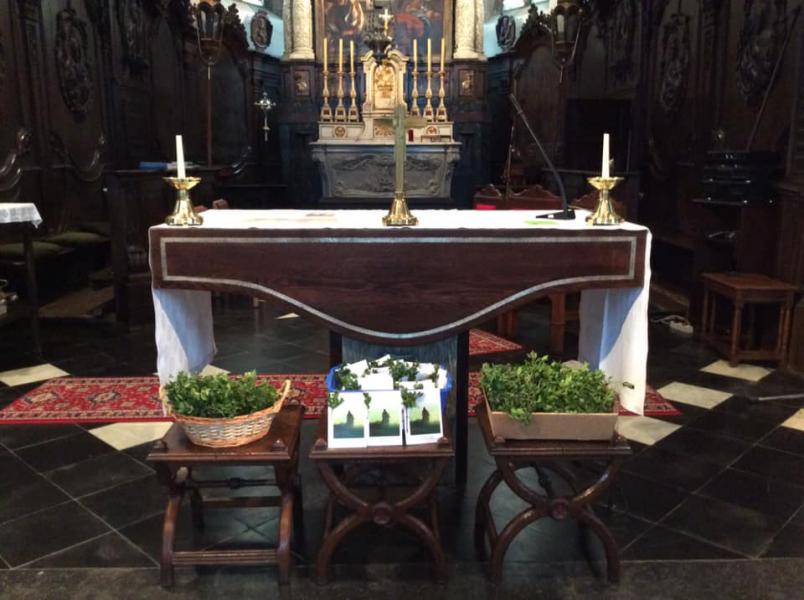 Palmkaartjes en palmtakjes in Meldert 