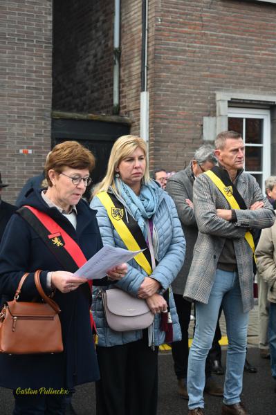 Terugblik 11 november © Gaston Pulinckx