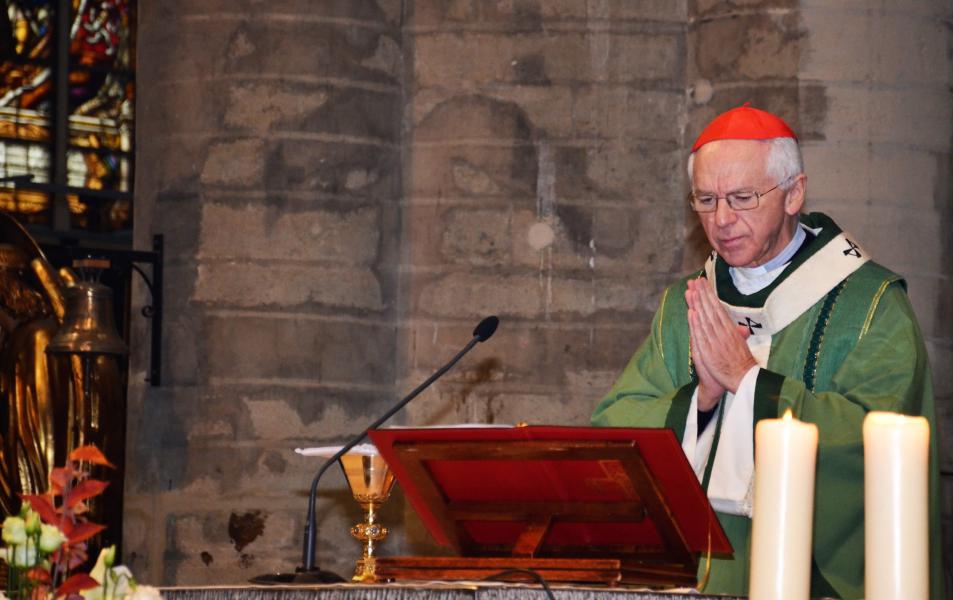 Kardinaal Jozef De Kesel tijdens de eucharistieviering voor de vrede op zondag 11 november 2018 © Hellen Mardaga