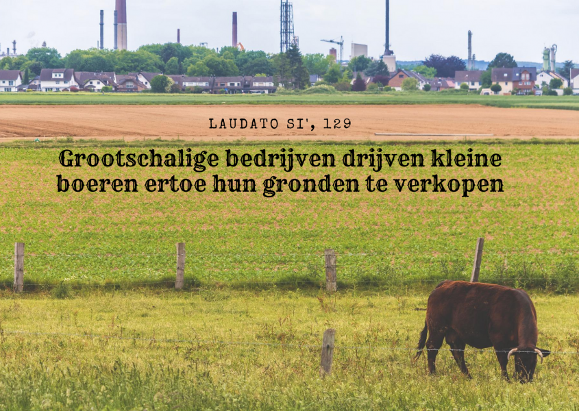 Laudato Si' - maand van de Schepping - dag 18 © Vicariaat Brussel, Foto: Pixabay