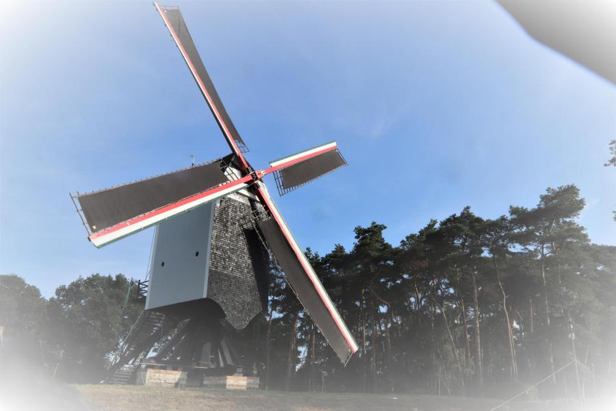 Molenfeesten Tongerlo 2019 © HT