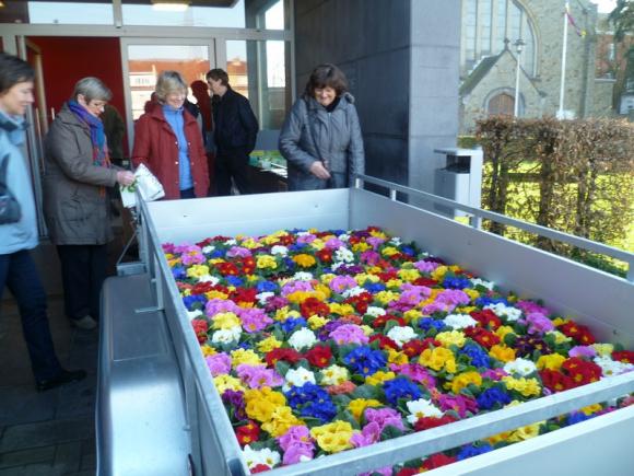 Bloemenverkoop door de vormelingen ten voordele van Broederlijk delen 