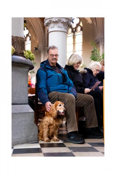 dierenzegening 2025 2 © @statimvisum