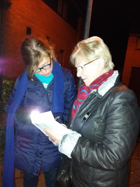 Lichtjestocht Zoerle 2017 