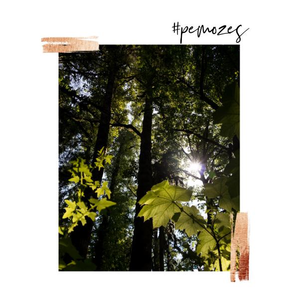Inspiratie op woensdag © Unsplash