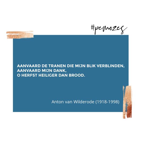 Inspiratie op woensdag 