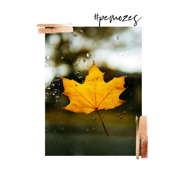 Inspiratie op woensdag © Unsplash
