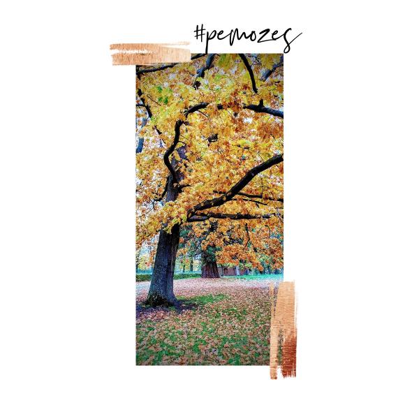 Inspiratie op woensdag © Jolien Vereecke