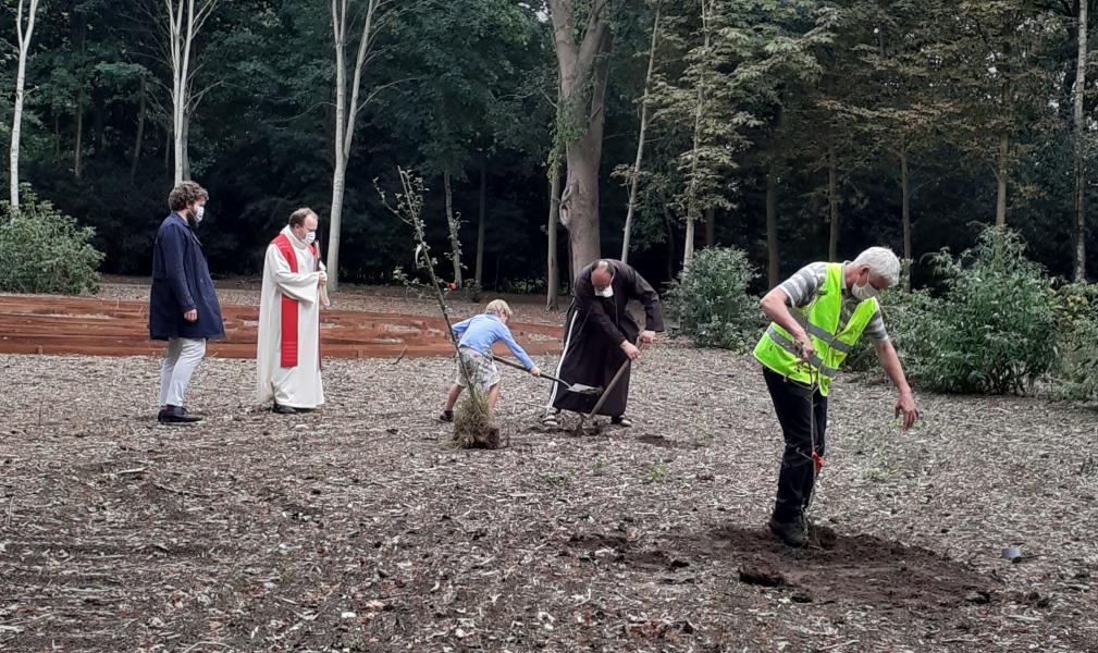 Over enkele jaren dragen deze bomen vrucht voor al wie wil © RB