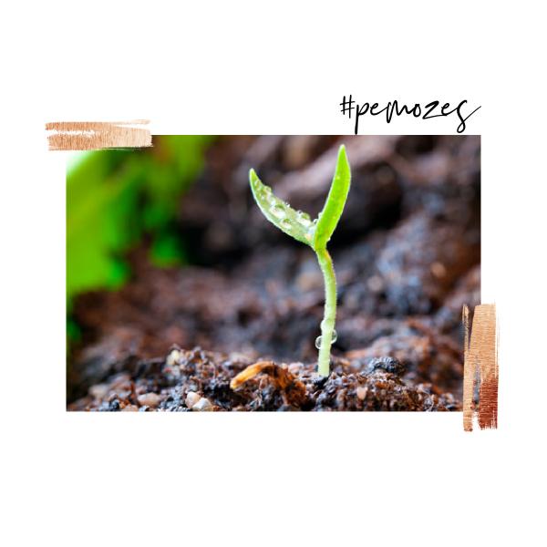 Inspiratie op woensdag 