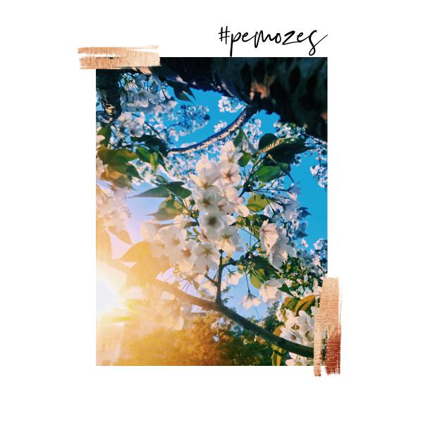 Inspiratie op woensdag 