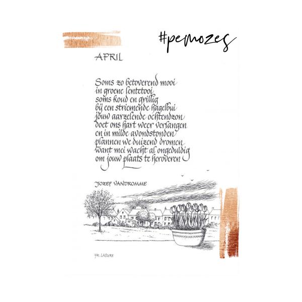 Inspiratie op woensdag 