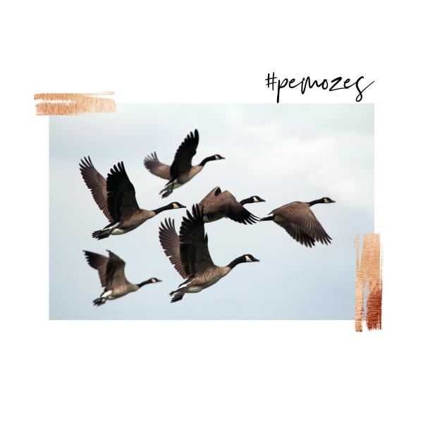 Inspiratie op woensdag 