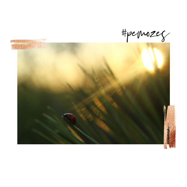 Inspiratie op woensdag 