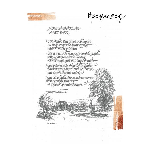 Inspiratie op woensdag 