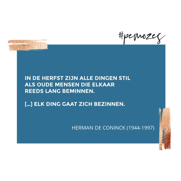 Inspiratie op woensdag 