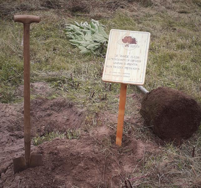 Alles is al klaar gezet om twee vruchtbomen te planten, met een verwijzing naar de encycliek Laudato Si over de zorg voor de schepping © RB