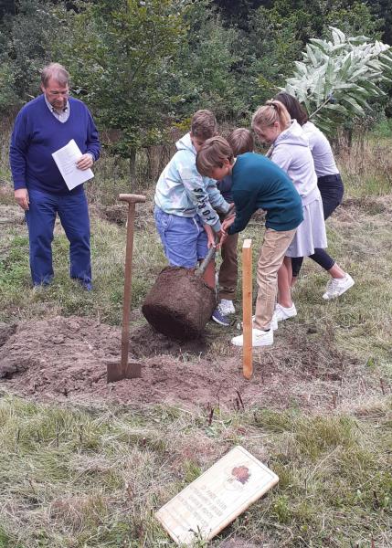 Vormelingen planten een kastanjeboom  © RB