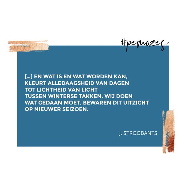 Inspiratie op woensdag 