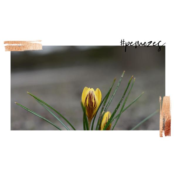 Inspiratie op woensdag 