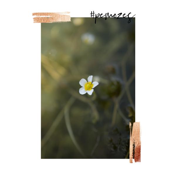 Inspiratie op woensdag 