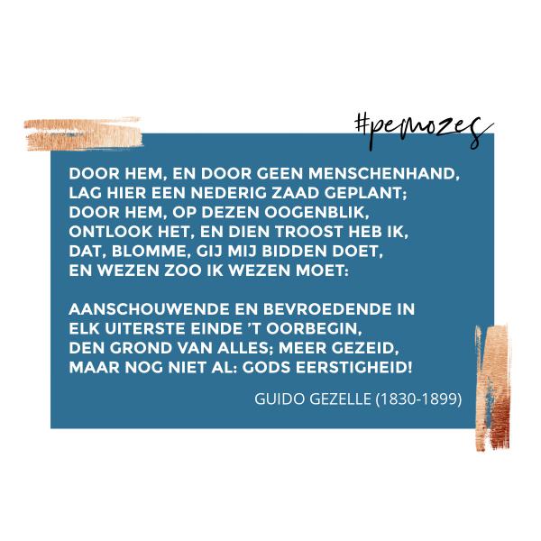 Inspiratie op woensdag 