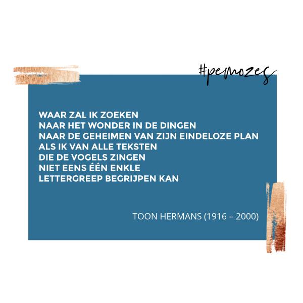Inspiratie op woensdag 