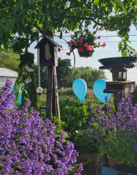 Meimaand is Mariamaand, ook in Wingene 