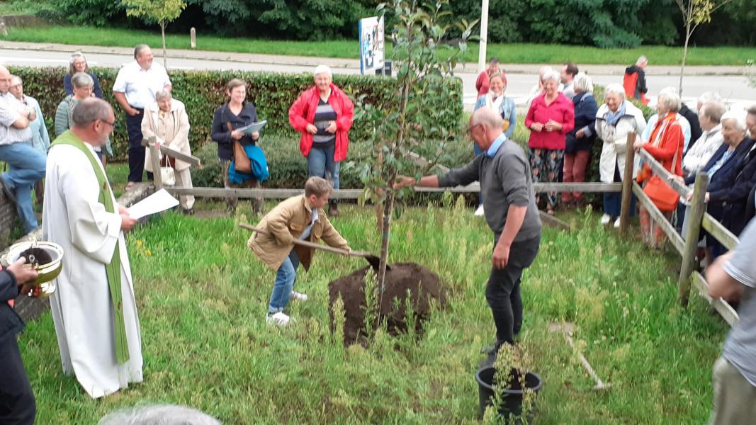 Een boom planten, is ook: geloven in de toekomst.  © RB