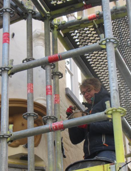 De nis krijgt weer kleur © Brugge-Mariastad vzw