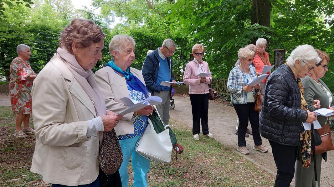 Samana in Scherpenheuvel © Josee Barzeele