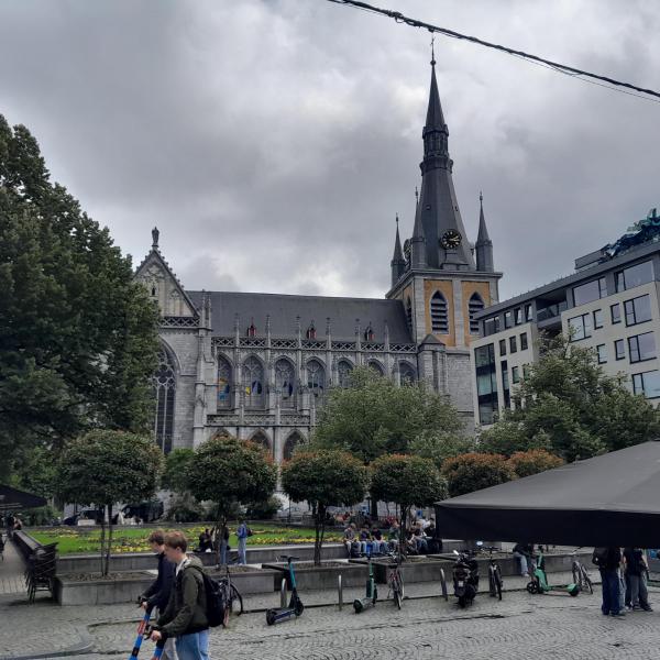 Luik Cathédrale Saint-Paul © T Poorters