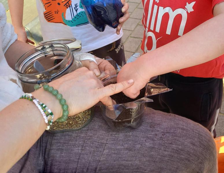 Zaadjes in een zaaipotje © gvc