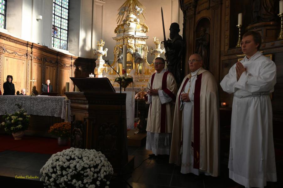 Terugblik 11 november © Gaston Pulinckx