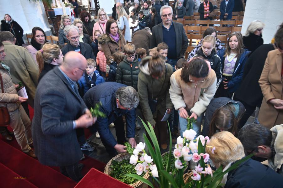 Palmzondag © Gaston Pulinckx