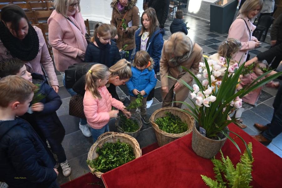 Palmzondag © Gaston Pulinckx
