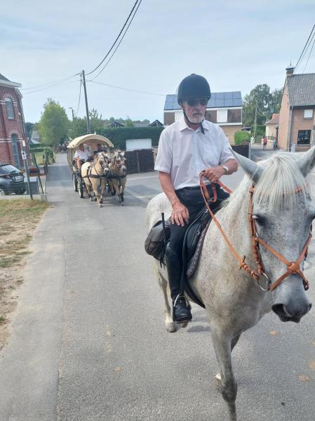 Paardenommegang Mere 14 augustus 2022 