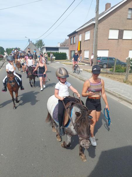 Paardenommegang Mere 14 augustus 2022 