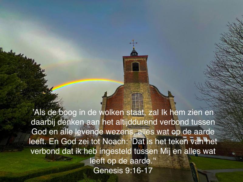 Uit Genesis op beeld van Sint Martinus © Chris De Groote