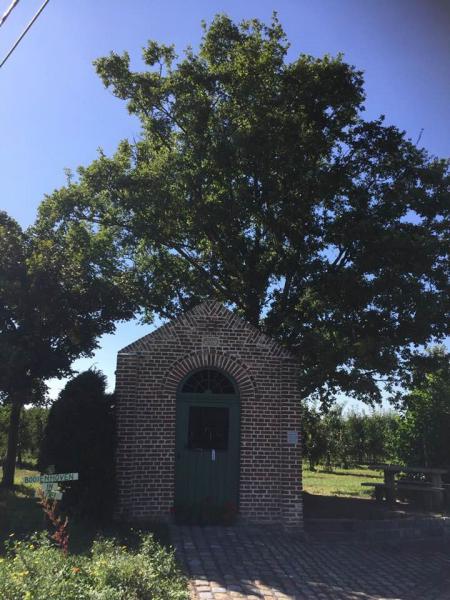 Beeld H. Odulfus gestolen 